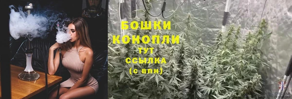 мет Касимов