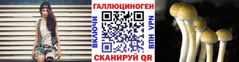 Псилоцибиновые грибы MAGIC MUSHROOMS  Купить закладки  Болотное 